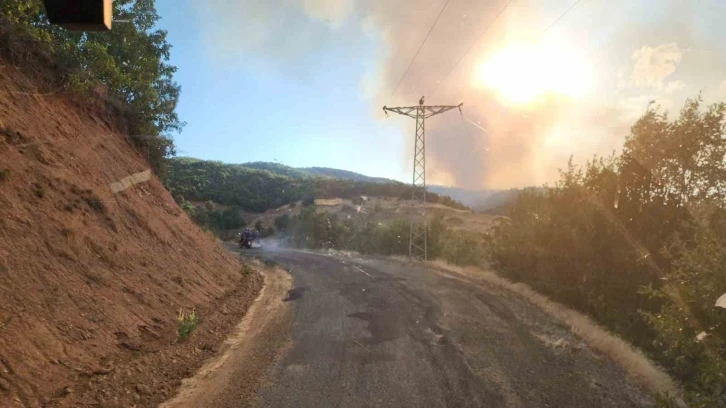 Bingöl’deki orman yangınına müdahale devam ediyor
