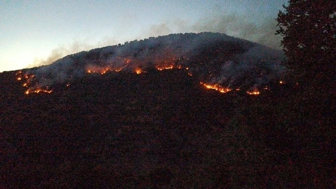 Bitlis’teki orman yangınları kontrol altına alındı
