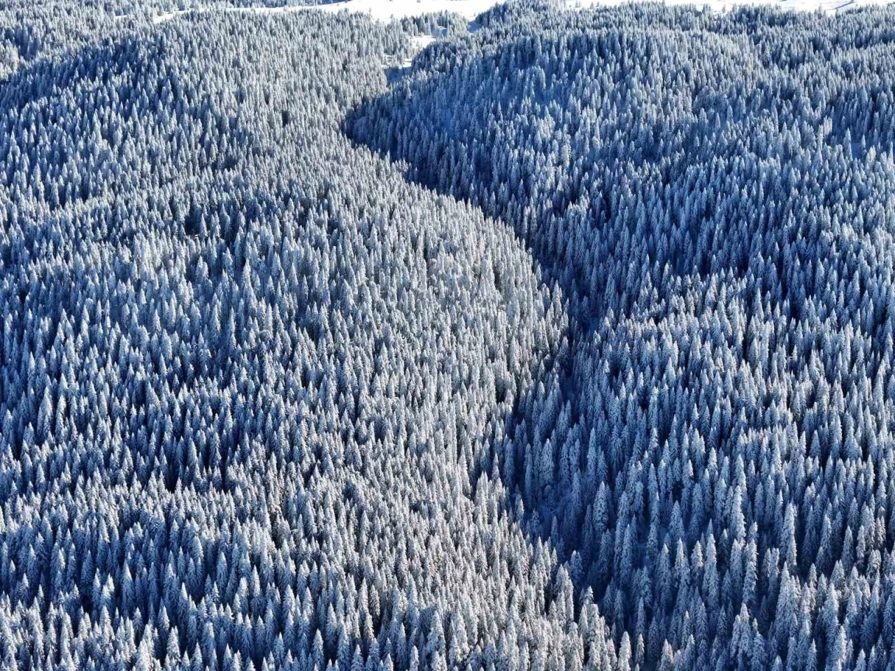 Bolu’nun dağlarında eşsiz manzara
