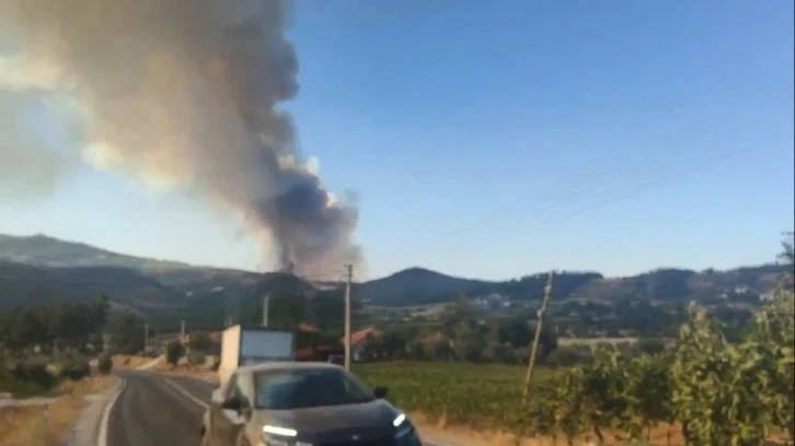 Bozdoğan’daki orman yangını için Muğla sınırında önlem alındı
