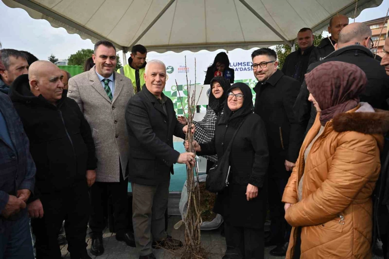 Bursa Büyükşehir’den üreticiye fide ve fidan desteği
