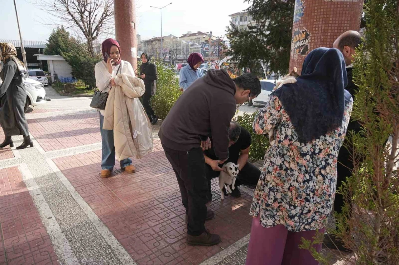 Bursa’da 4 büyüklüğünde deprem
