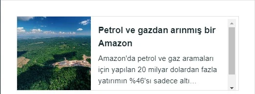 Büyük bankalar Amazon'daki yıkımı durdurmalı