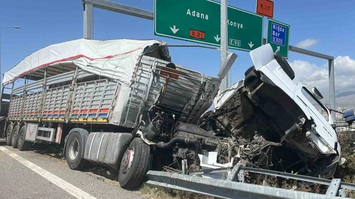 Büyükbaş hayvan yüklü tır devrildi: 2 kişi yaralandı, 7 büyükbaş hayvan telef oldu
