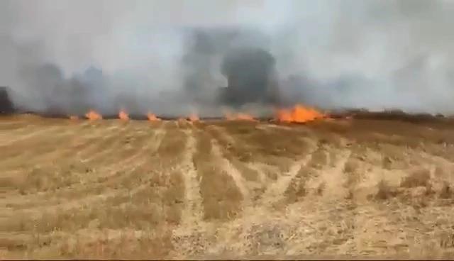 Büyükorhan’daki anız yangını korkuttu

