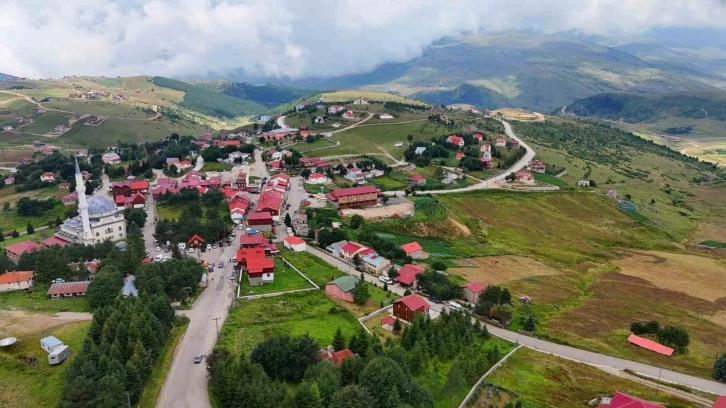 Çambaşı Yaylası yeniden doğdu
