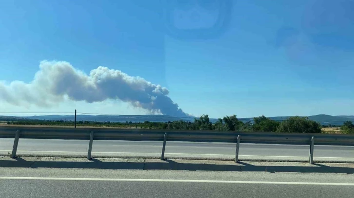 Çanakkale’de orman yangını, gemi trafiği askıya alındı
