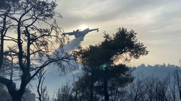 Çanakkale’deki orman yangını 8 saat sonra kontrol altına alındı
