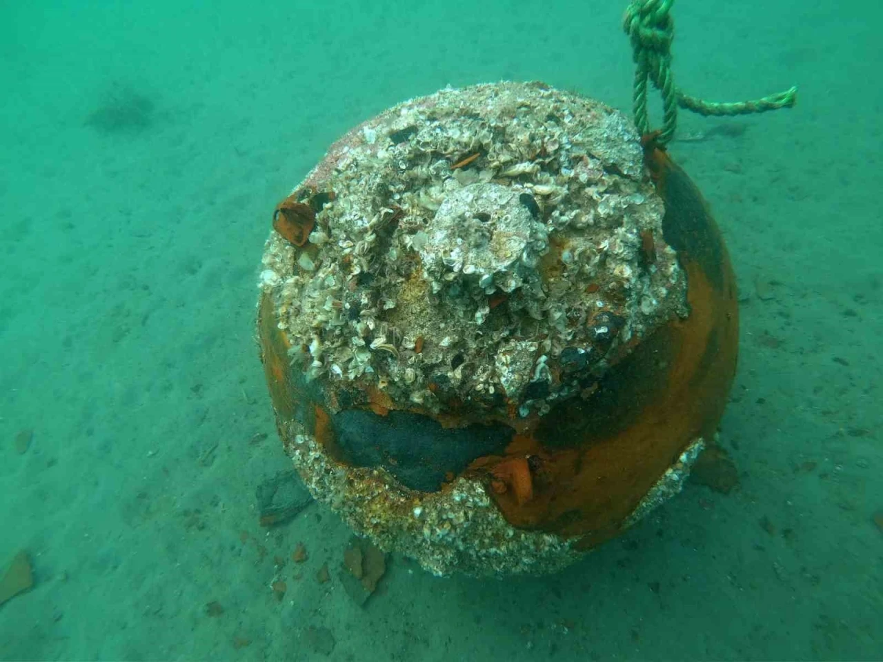 Çanakkale Savaşları’ndan kalma mayın denizde imha edildi
