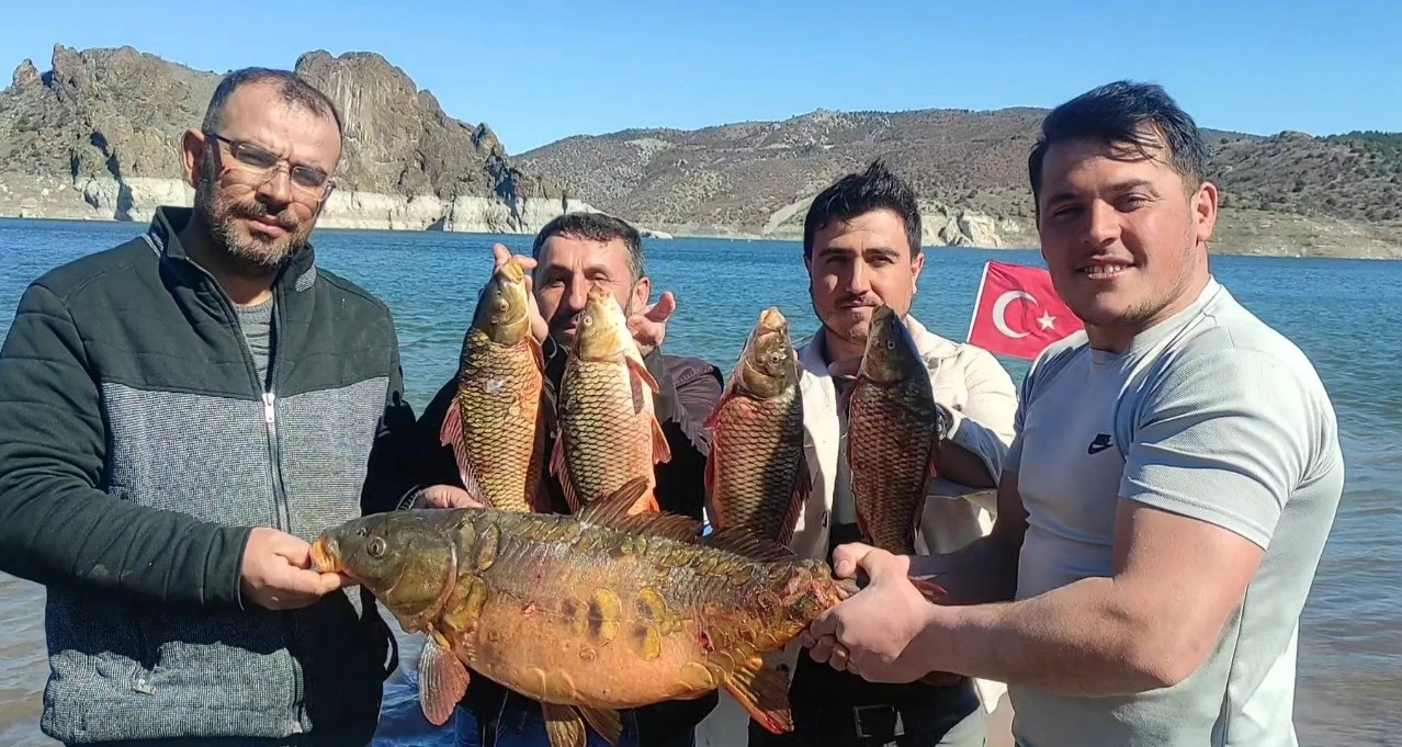 Çekerek’te Balıkçıların Ağına Dev Sazan Takıldı