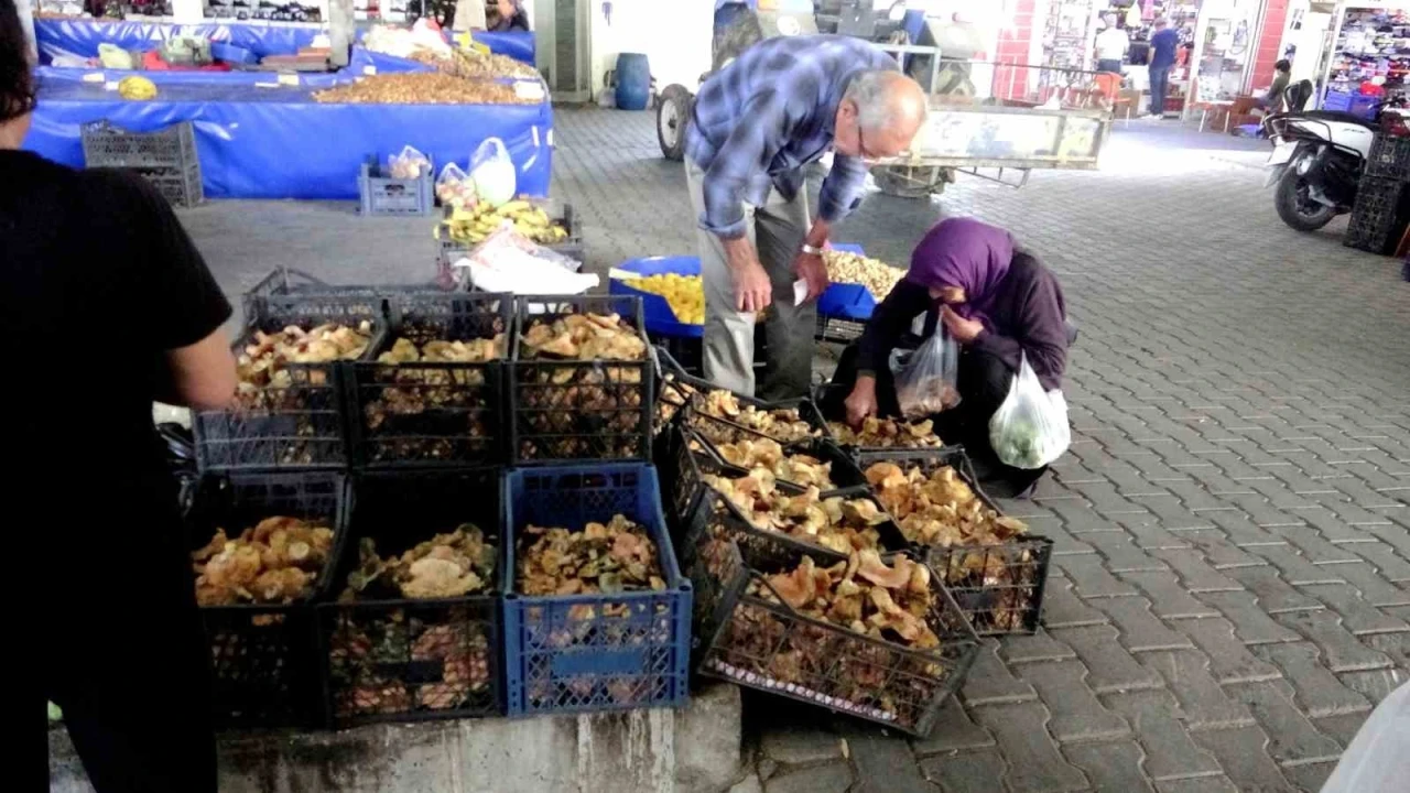 Muğla'da Çıntar Pazarı Açıldı