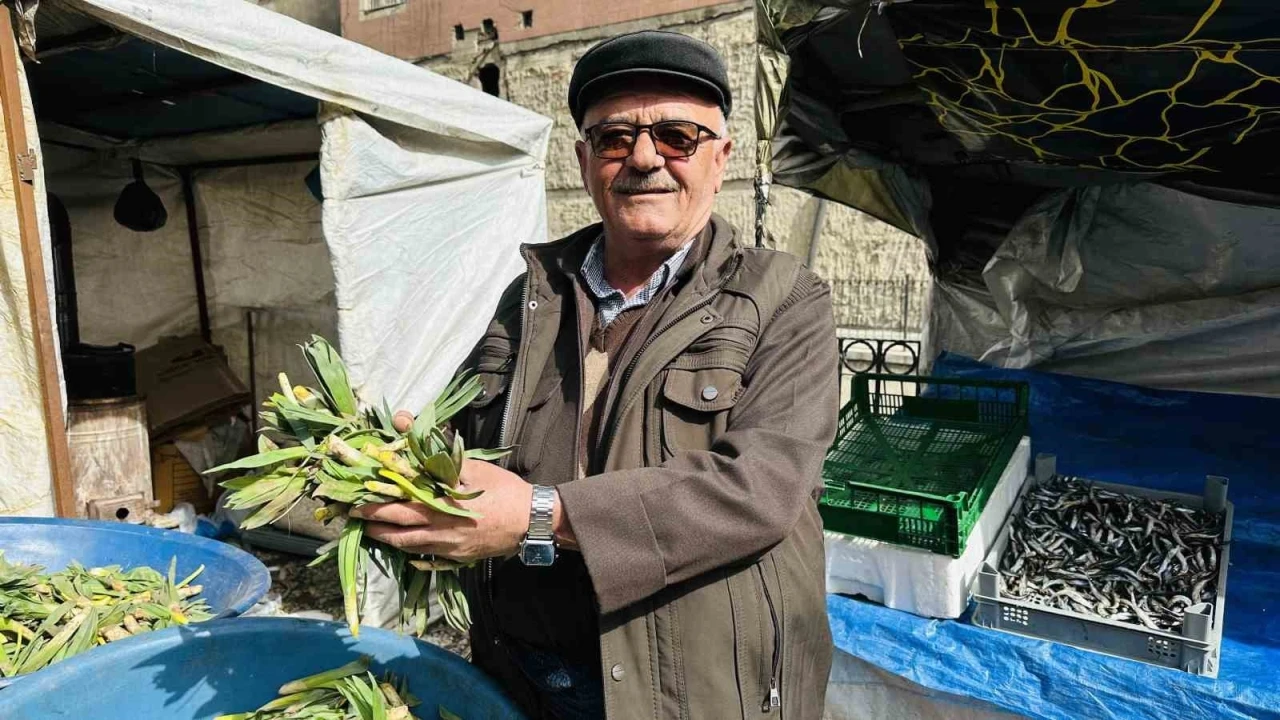 Şifalı Çiriş Otu Tezgahlarda Yerini Aldı