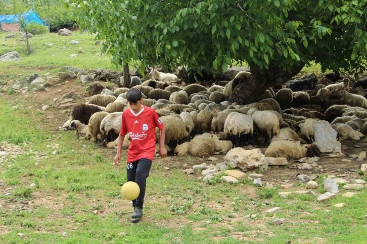 Çobanlık yapan Ender Sağım, keşfedilmeyi bekliyor
