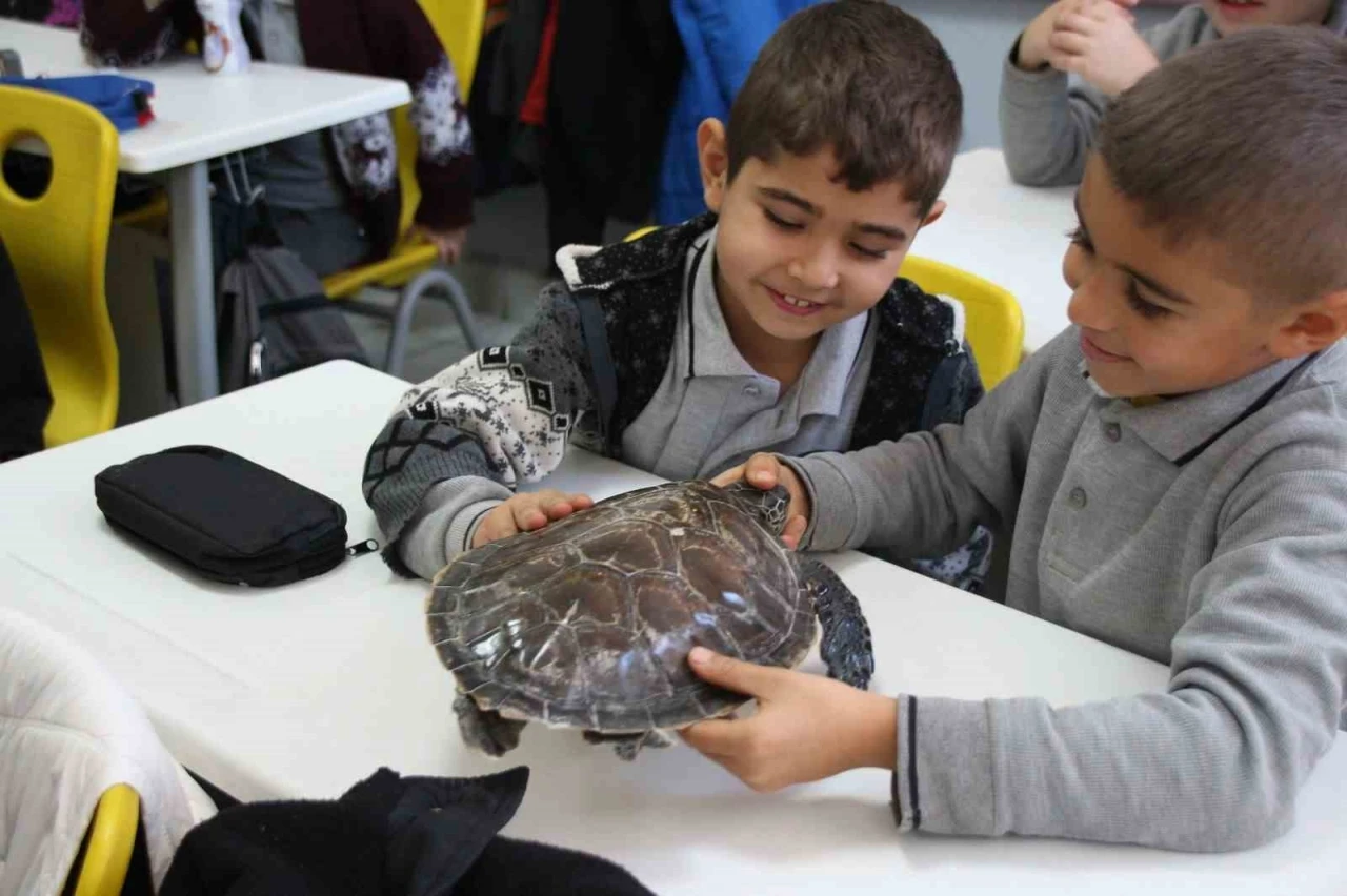 Muğla’da Çocuklara Deniz Canlıları Eğitimi