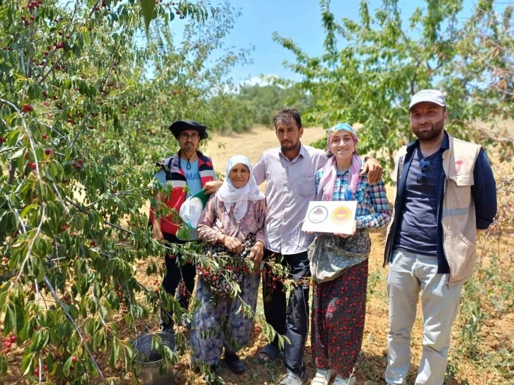 Coğrafi işaret onaylı Şaphane vişnesinin tescil ve kontrol çalışmaları
