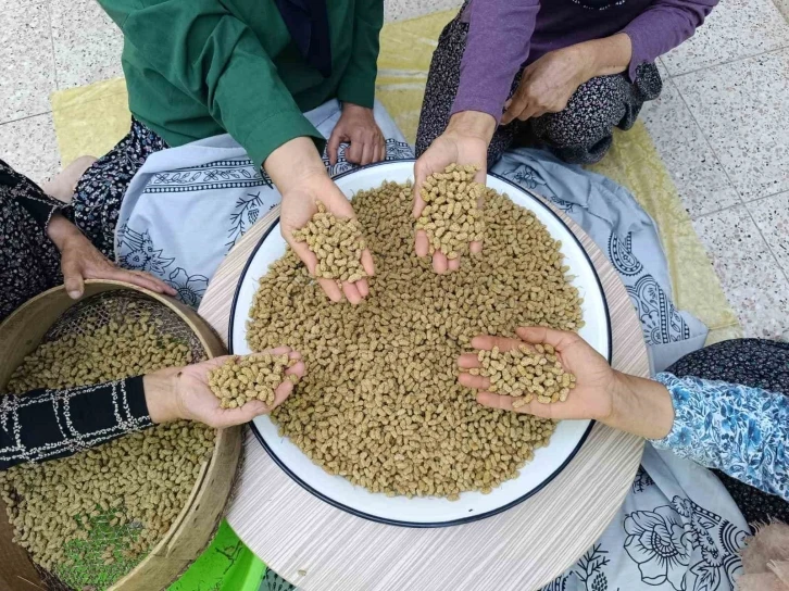 Coğrafi işaretli Ulukale dutu, Tunceli’nin köyünden çıkıp dünyaya ihraç ediliyor
