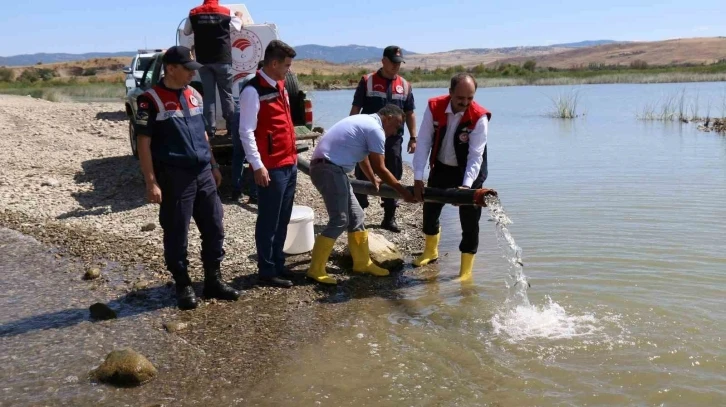 Çorum’da baraj ve sulama göletlerine 1 milyon 215 bin yavru balık salındı
