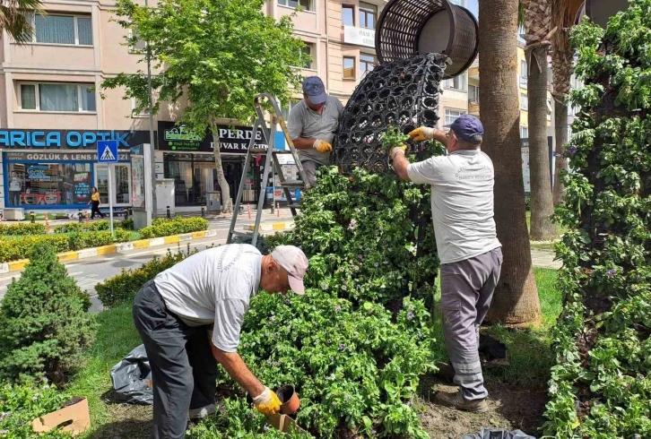 Darıca’da Kurban Bayramı öncesi hummalı çalışma sürüyor
