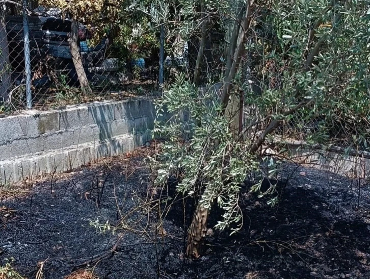 Defne’de bahçede çıkan yangın büyümeden söndürüldü
