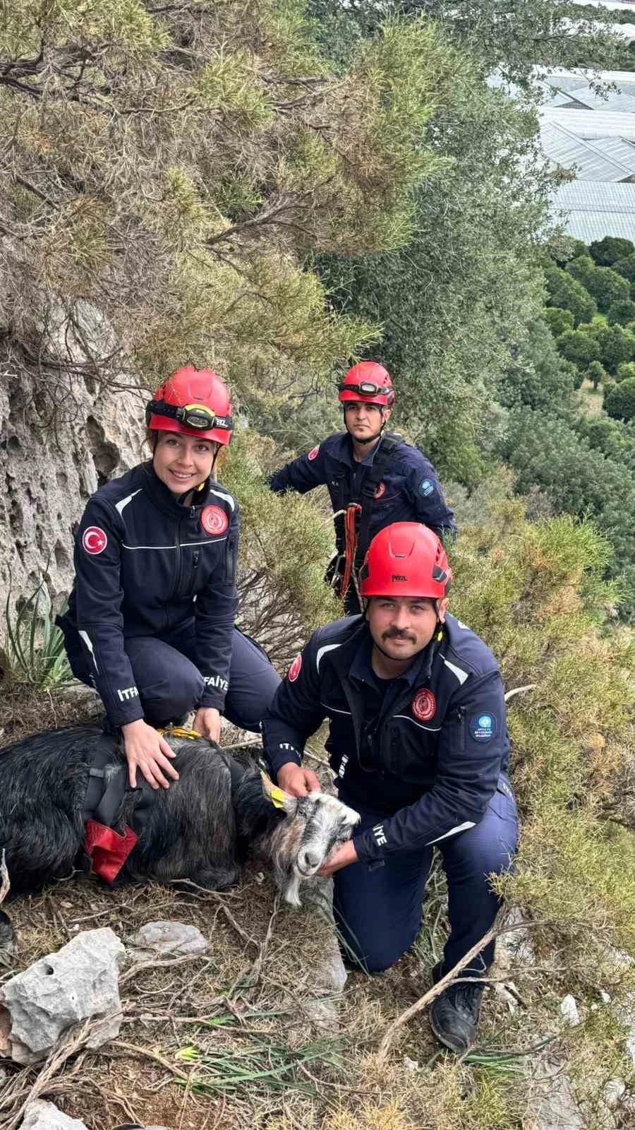 Demre’de 300 metrede 3 gündür mahsur kalan keçi operasyonla kurtarıldı
