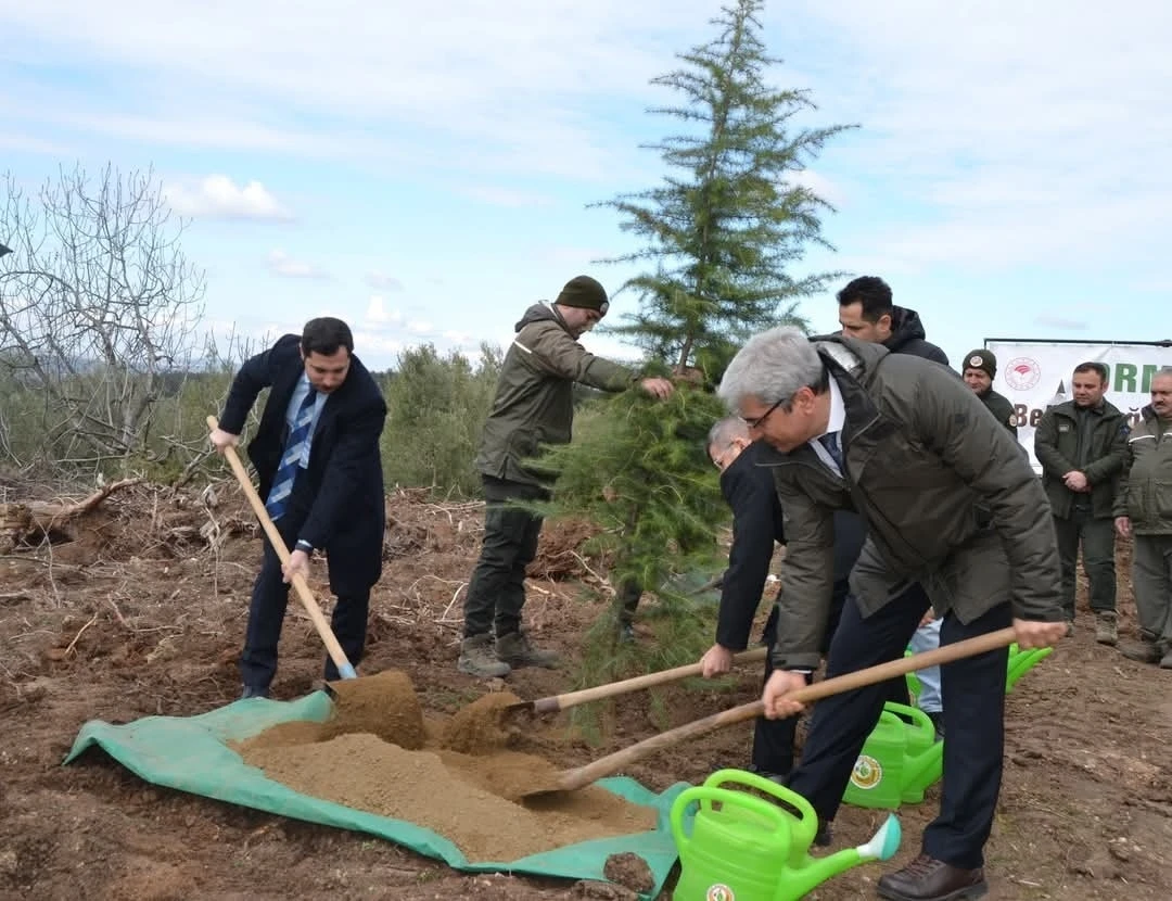 Denetimli serbestlik yükümlüleri fidan dikti
