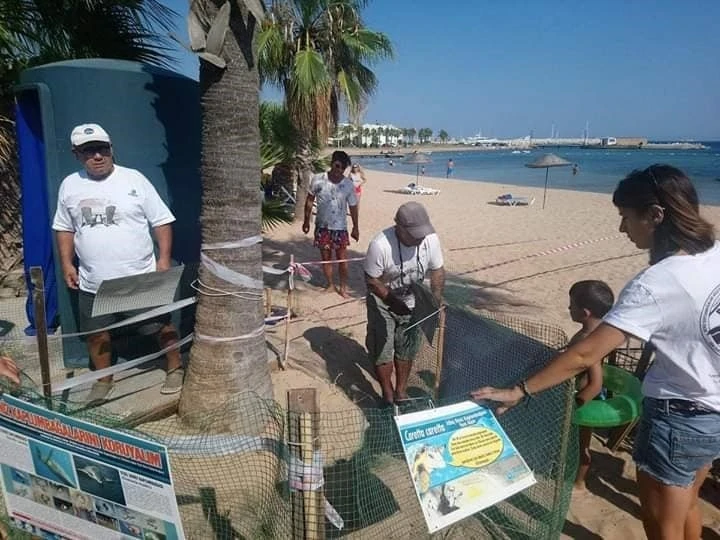 İztuzu Plajı Kaplumbağaların Yeni Yeri