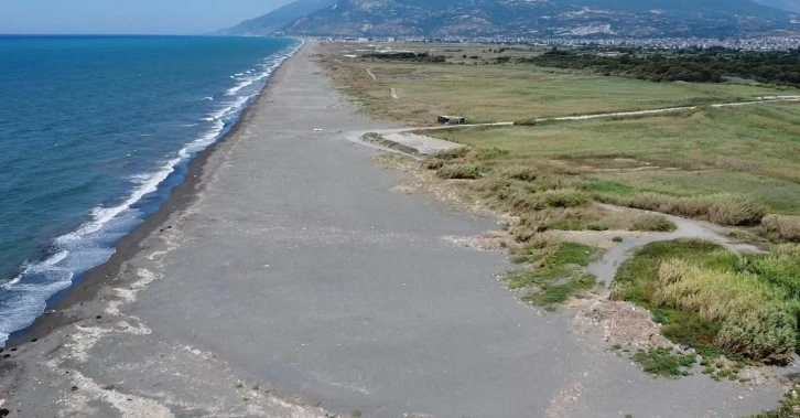 Deniz kaplumbağalarının ölüme yürümemesi için Erol öğretmen nöbette
