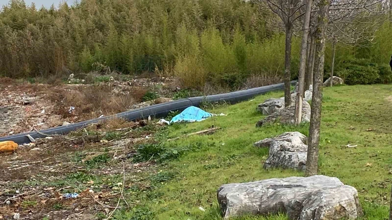 Denizde elleri ve ayakları bağlanmış erkek cesedi bulundu
