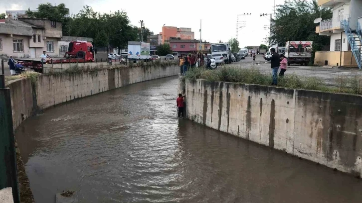 Dereye düşen kediyi kurtaran öğrenci kendisi mahsur kaldı
