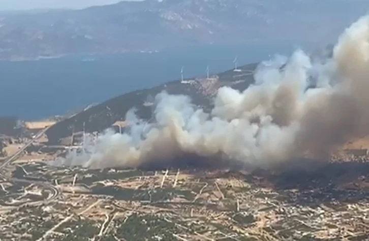 Didim’de makilik alanda yangın
