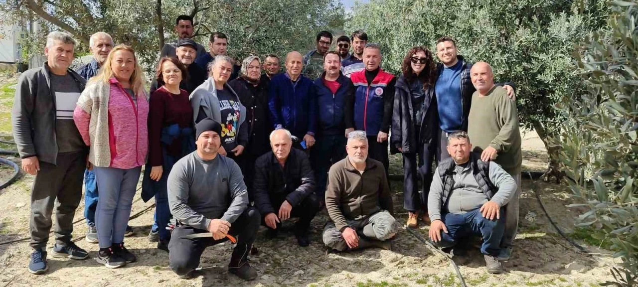 Didim’de zeytin budama kursu kursiyerlerine uygulamalı eğitim
