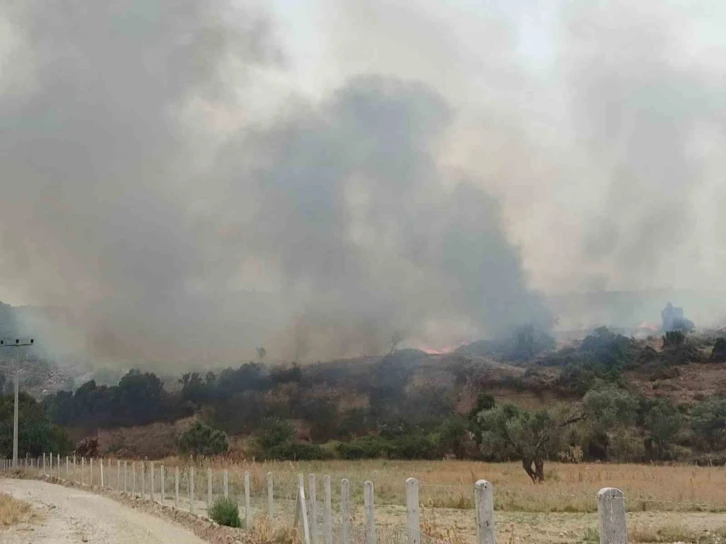 Didim’de zirai alan yangını
