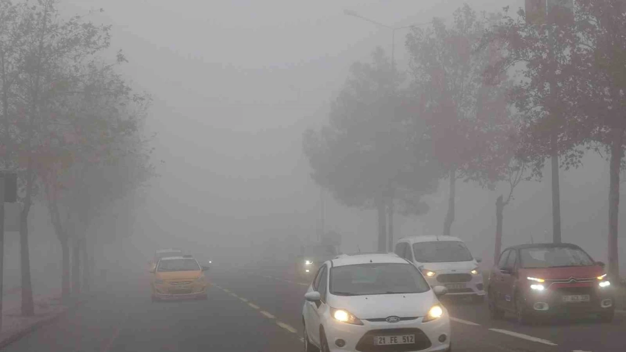 Diyarbakır’da hava ve kara ulaşımına sis engeli
