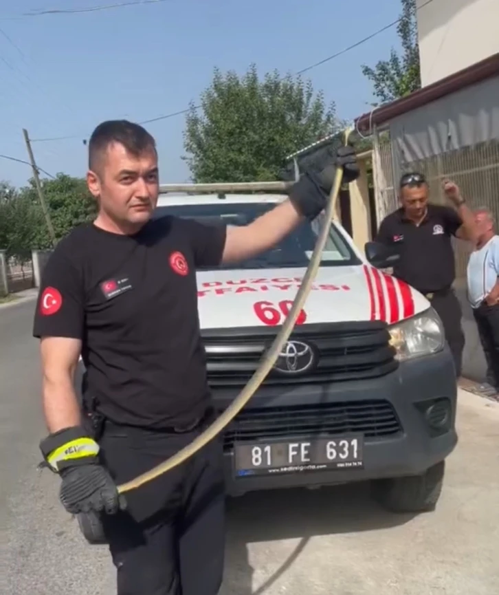 Düzce’de markette yılan paniği
