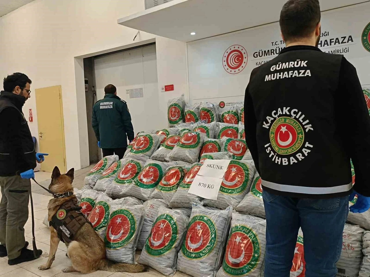 Edirne’de tırda 870 kilo skunk ele geçirildi
