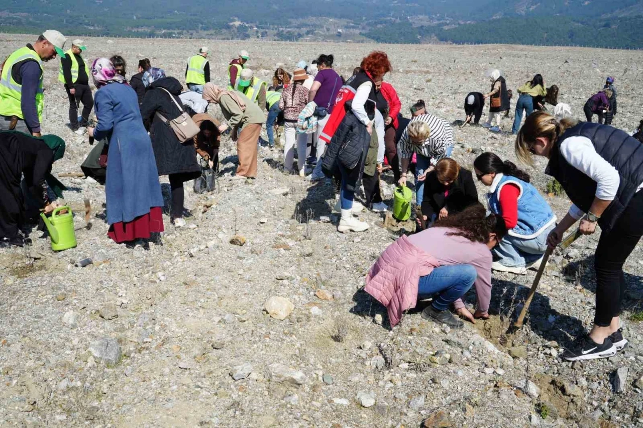 Edremit’te "Aile Yılı" kapsamında lavanta fidanı dikildi
