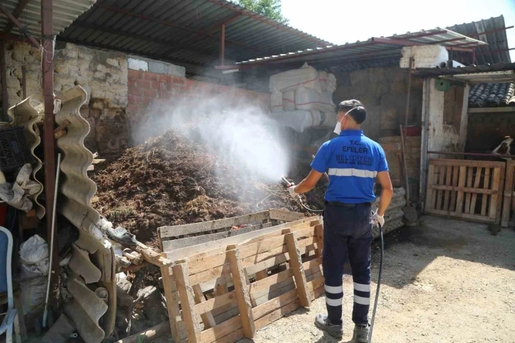 Efeler’de ilaçlama çalışmaları hızla sürüyor
