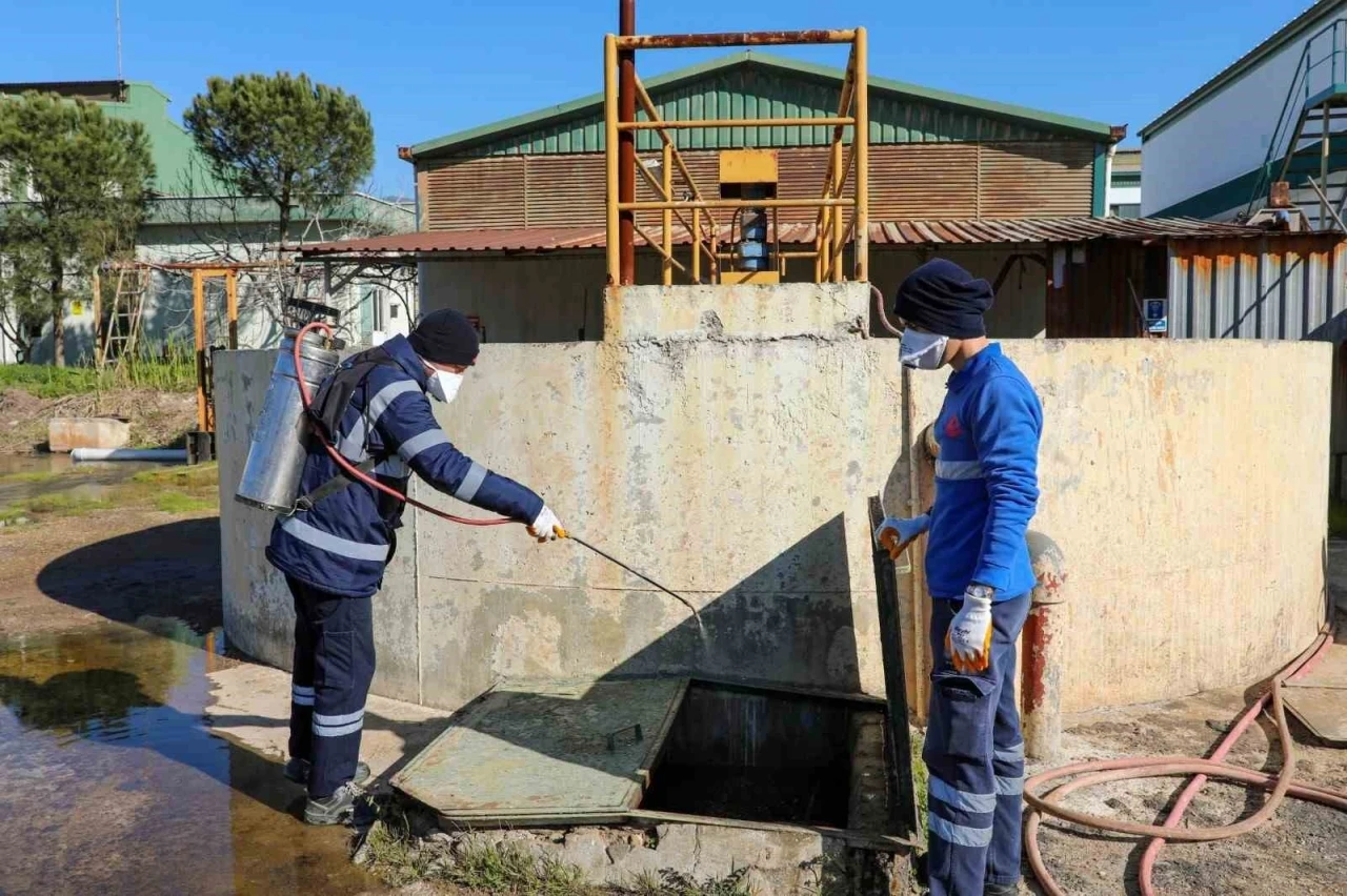 Efeler’de sineklerle mücadele 12 ay boyunca devam ediyor
