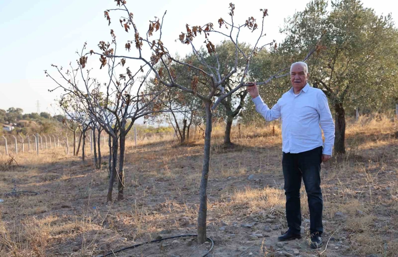 Ege’de kuraklık alarmı
