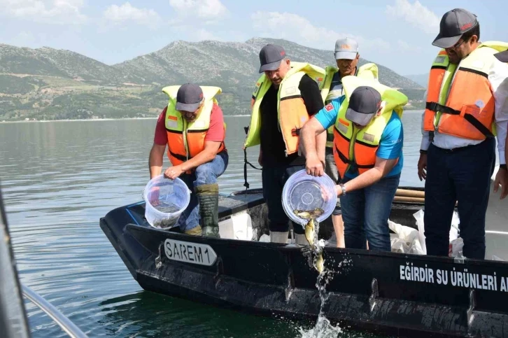 Eğirdir Gölü’ne 5 bin sazan balığı bırakıldı
