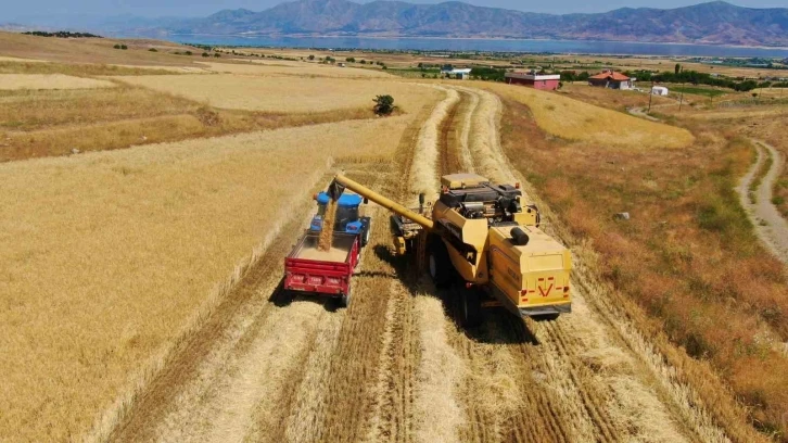 Elazığ’da 900 bin dekar alanda hasat yapılması bekleniyor
