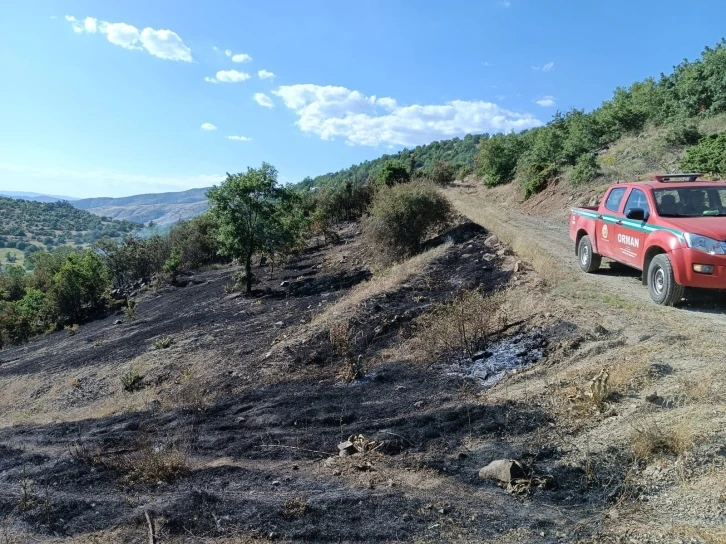 Elazığ’da korkutan yangın
