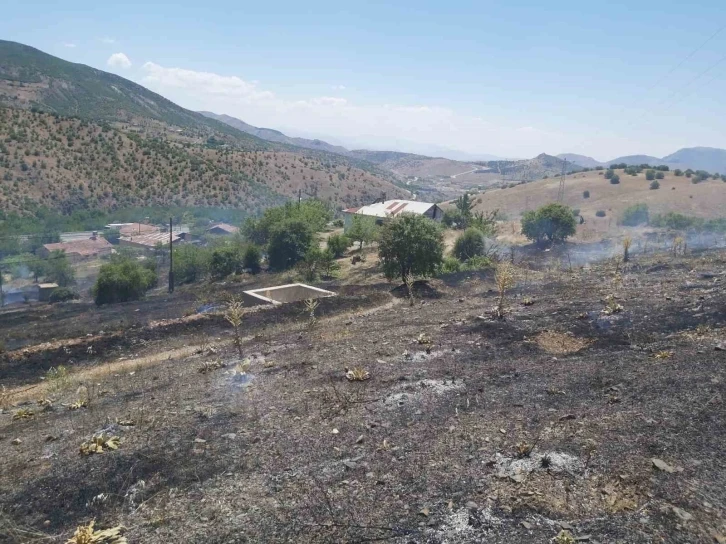 Elazığ’da ot yangını
