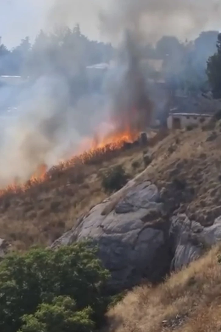 Elazığ’da otluk alanda çıkan yangın korkuttu
