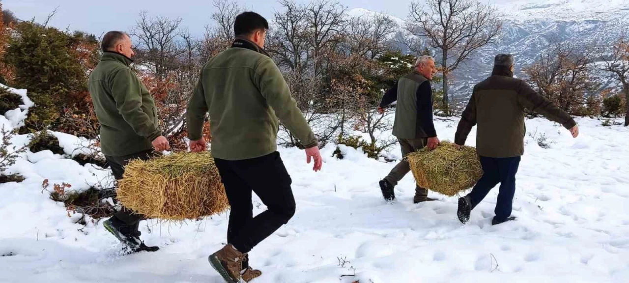 Elazığ’da yaban hayvanları için doğaya yem bırakıldı
