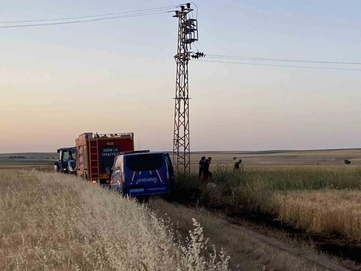 Elektrik akımına kapılan kuşlar yangına neden oldu
