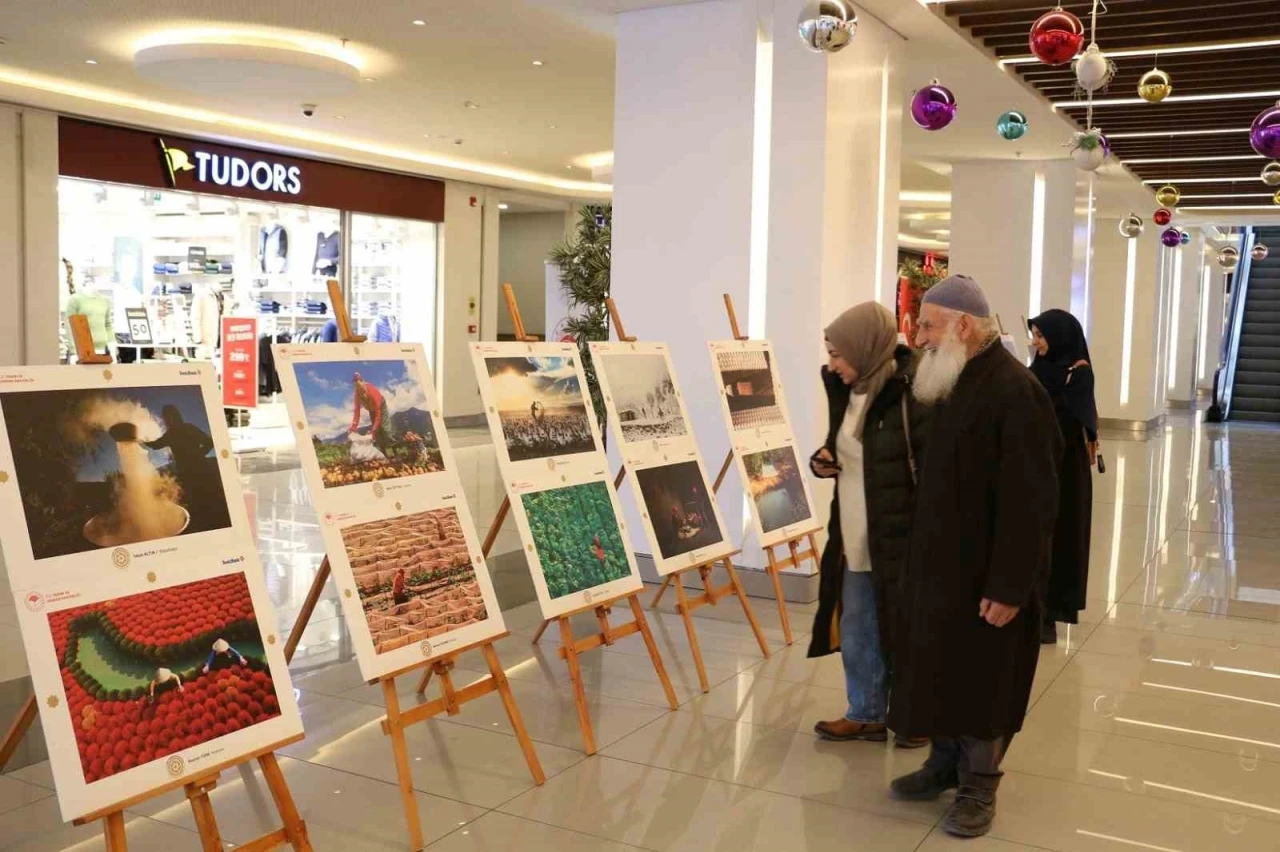 Erzincan’da 14. Uluslararası Tarım, Orman ve İnsan Fotoğraf Sergisi açıldı
