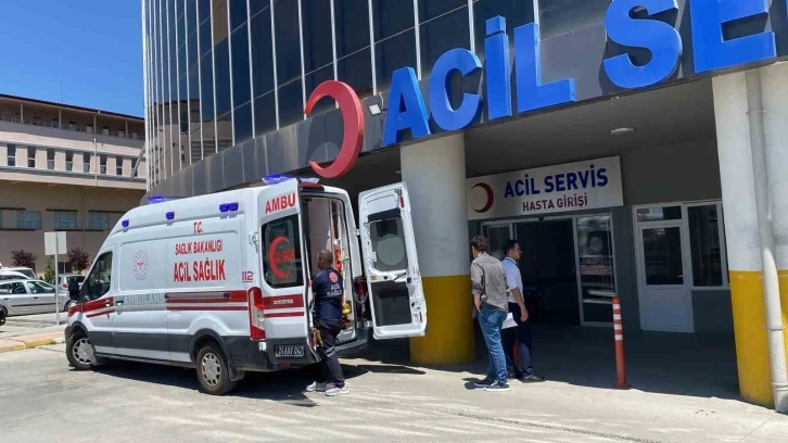 Erzincan’da acemi kasaplar hastanenin yolunu tuttu
