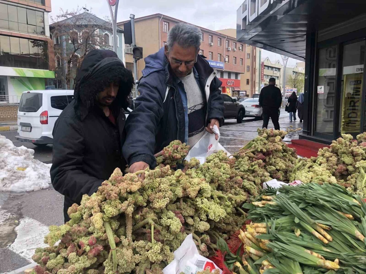 Erzincan’da ‘yayla muzunun’ destesi 100 ila 300 TL’den satışta
