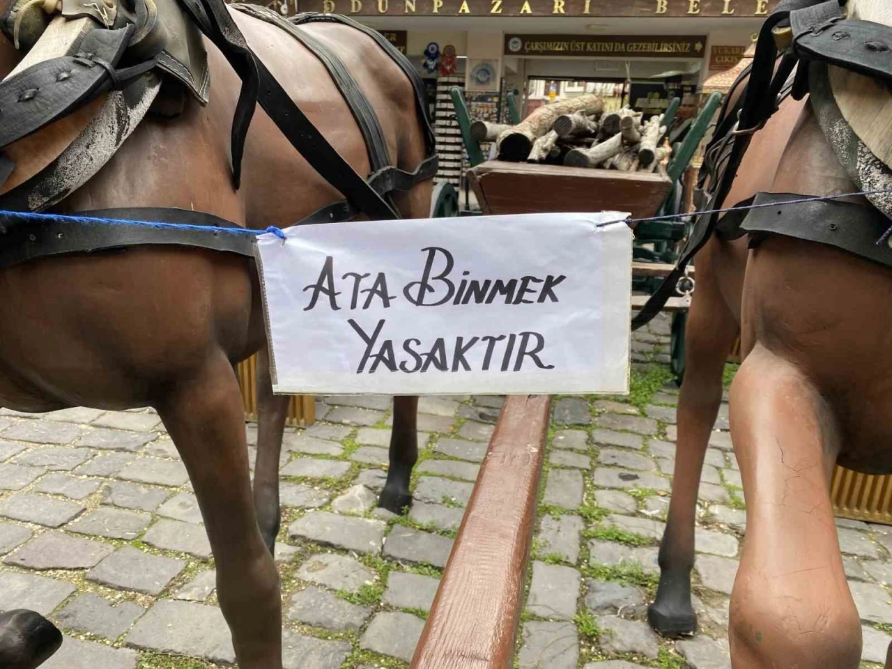 Eskişehir’deki &quot;Ata binmek yasaktır&quot; uyarısı dikkat çekiyor
